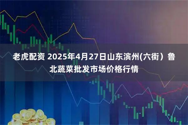 老虎配资 2025年4月27日山东滨州(六街）鲁北蔬菜批发市场价格行情