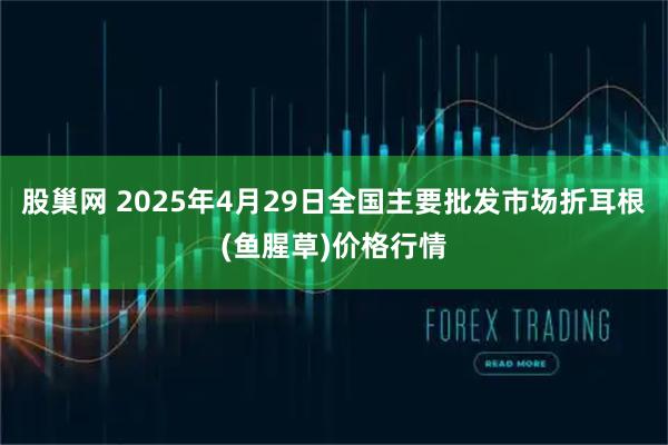 股巢网 2025年4月29日全国主要批发市场折耳根(鱼腥草)价格行情