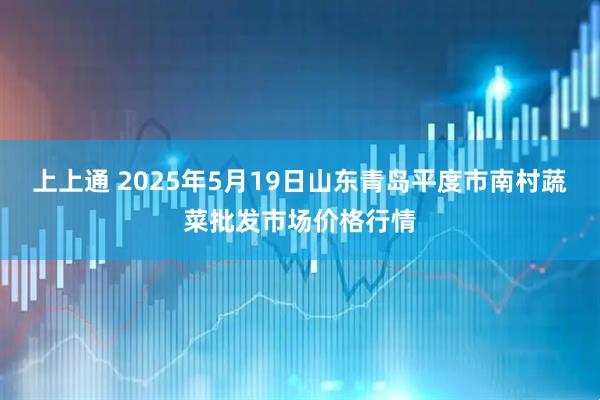上上通 2025年5月19日山东青岛平度市南村蔬菜批发市场价格行情