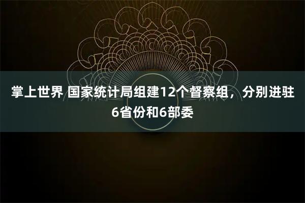 掌上世界 国家统计局组建12个督察组，分别进驻6省份和6部委