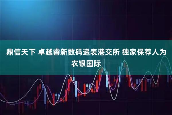 鼎信天下 卓越睿新数码递表港交所 独家保荐人为农银国际