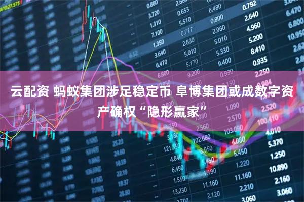 云配资 蚂蚁集团涉足稳定币 阜博集团或成数字资产确权“隐形赢家”