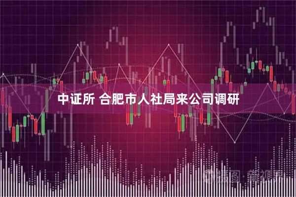 中证所 合肥市人社局来公司调研
