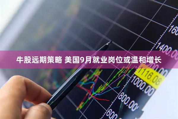 牛股远期策略 美国9月就业岗位或温和增长